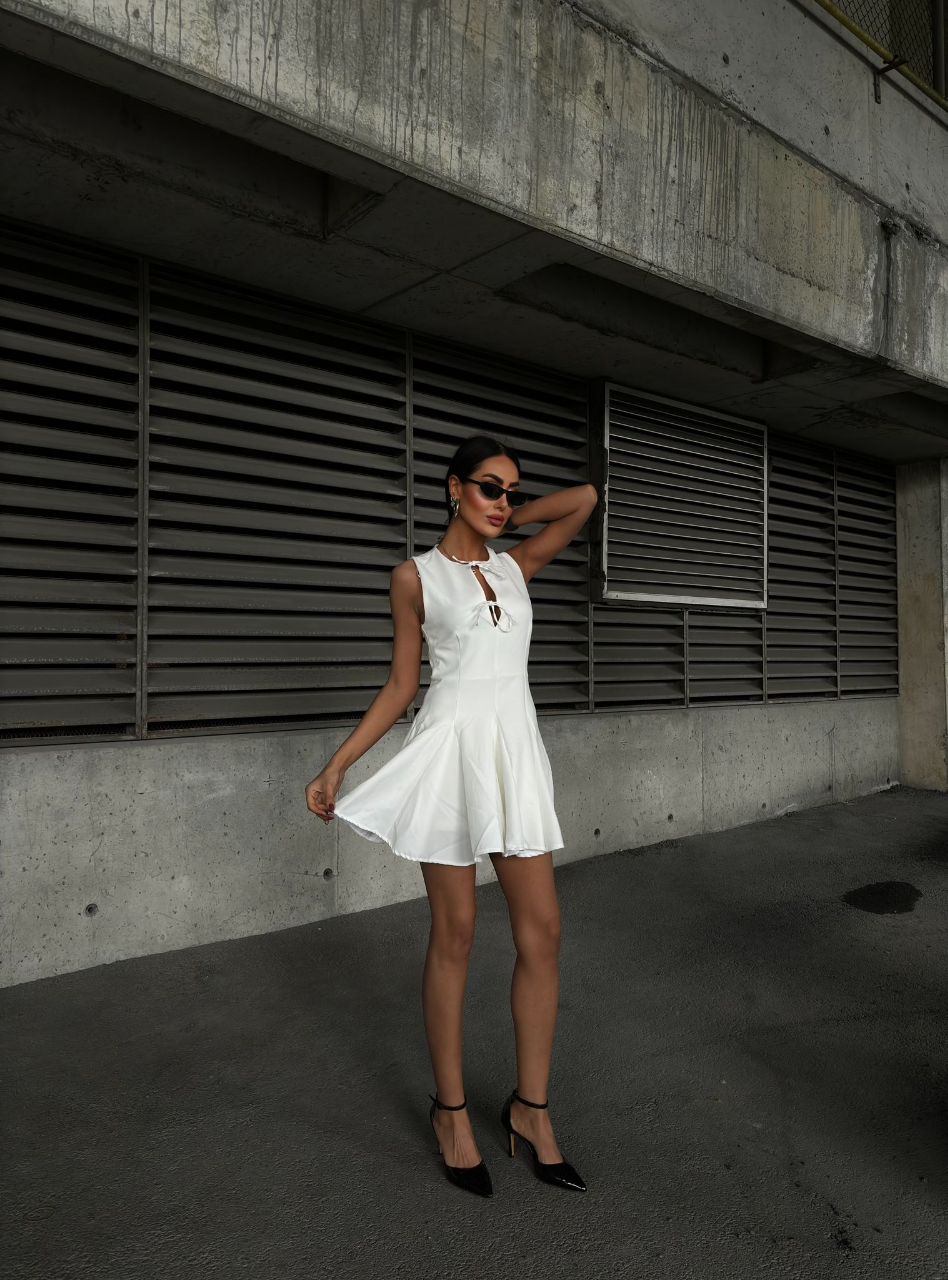sasha dress