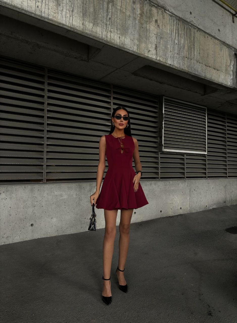 sasha dress