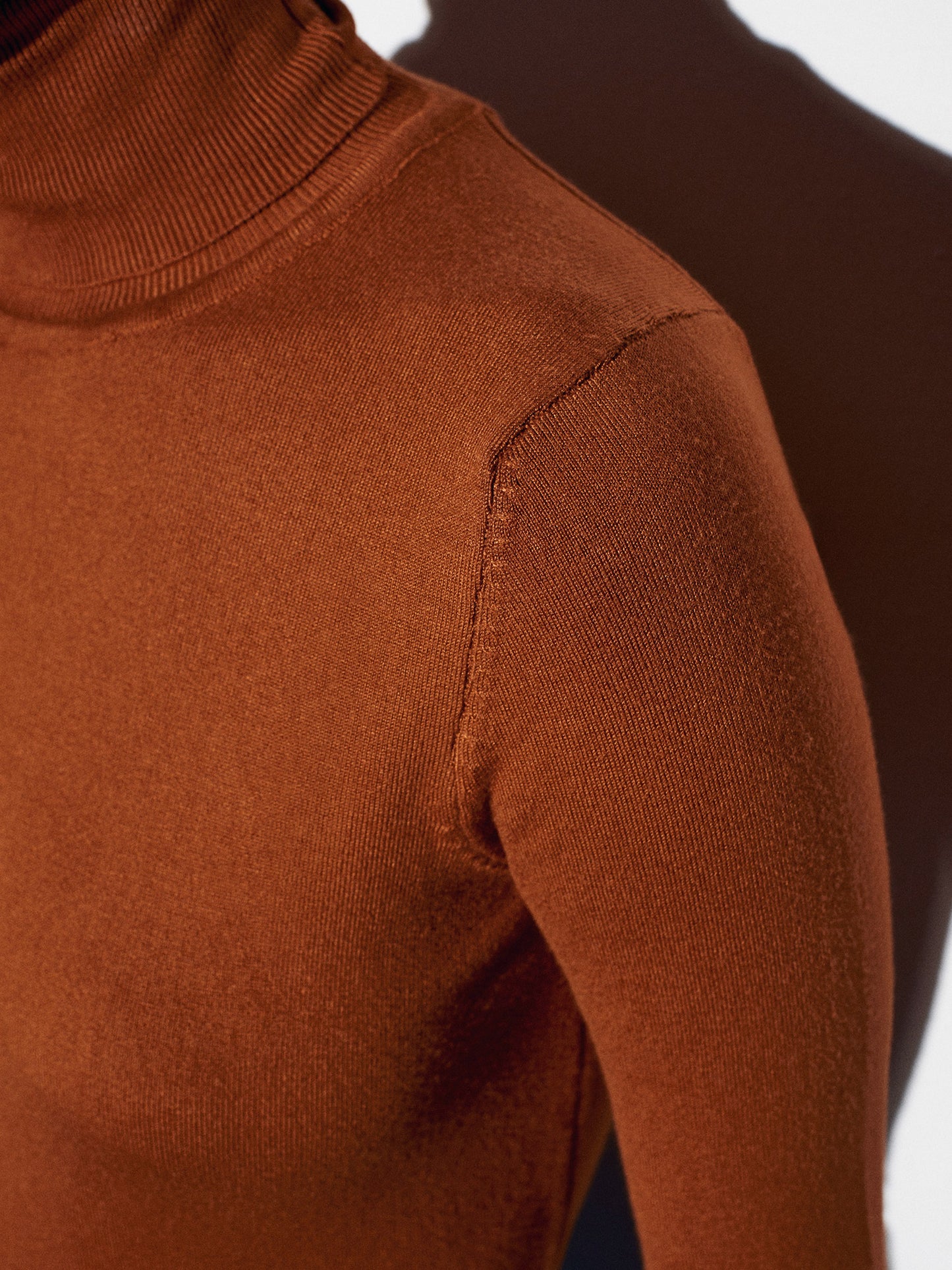 Naya Turtleneck Sweater